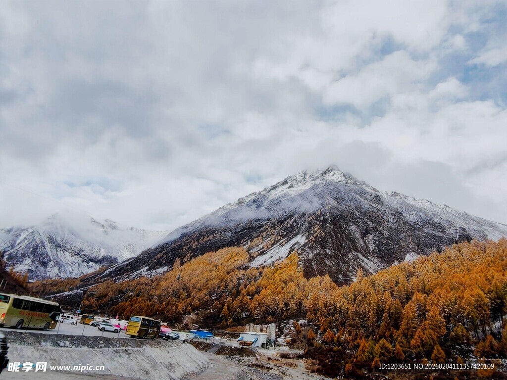 秋日雪山下的绚烂山林