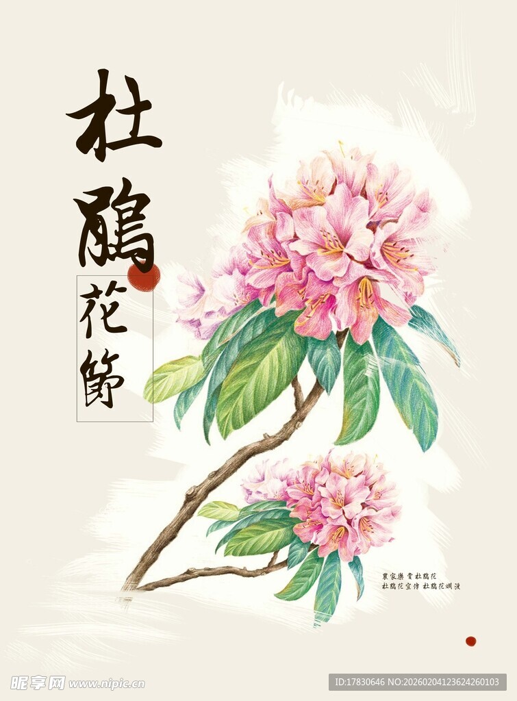 杜鹃花海报