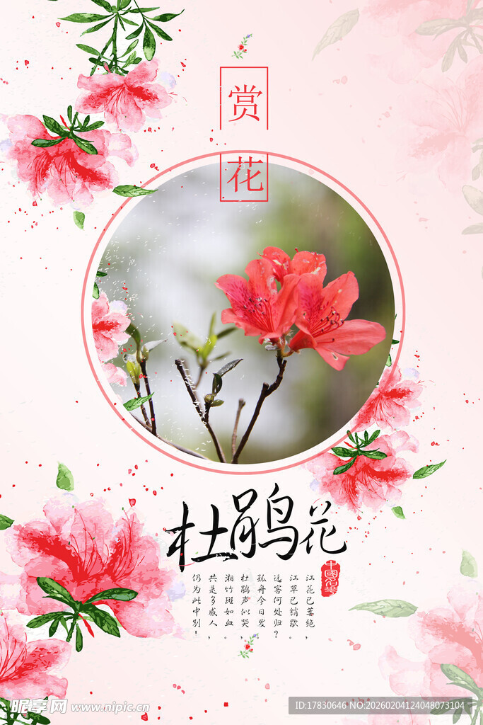 杜鹃花海报