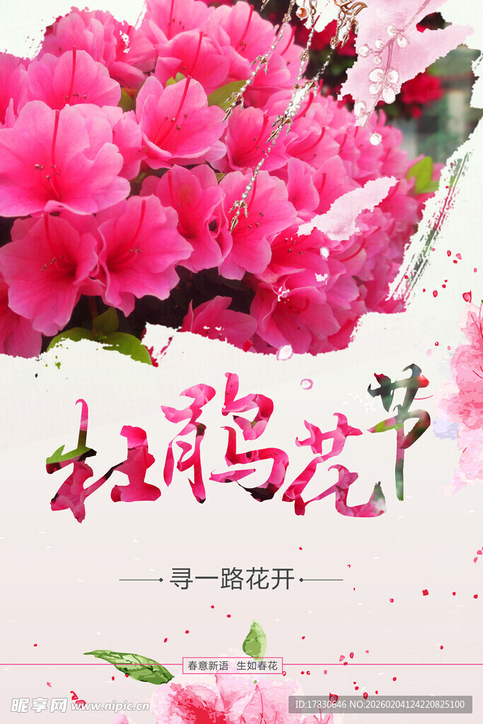 杜鹃花海报