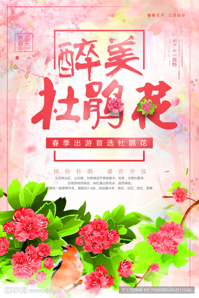 杜鹃花海报
