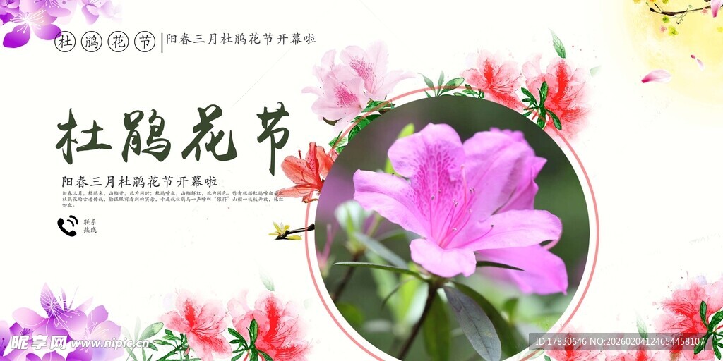 杜鹃花海报