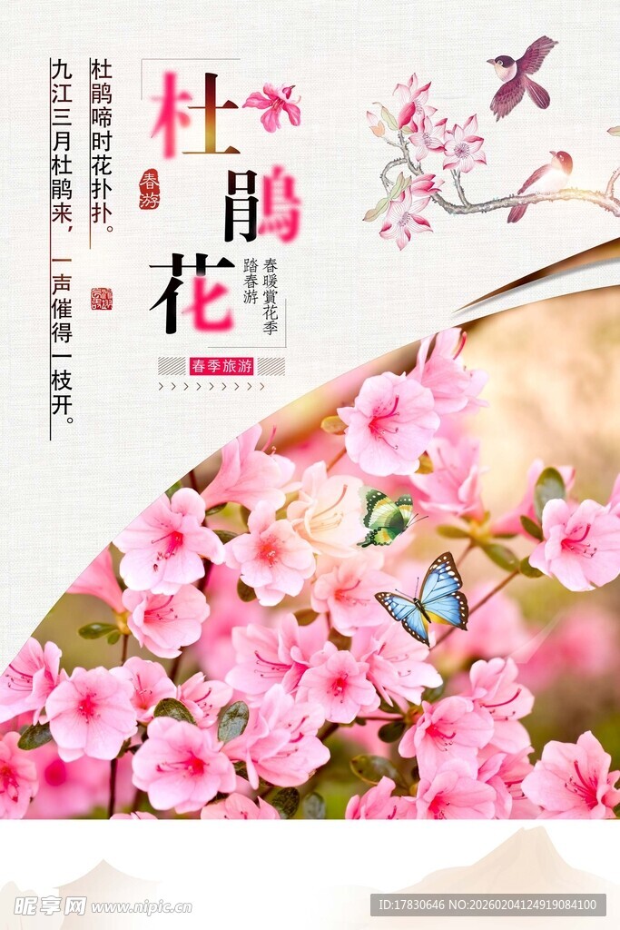杜鹃花海报