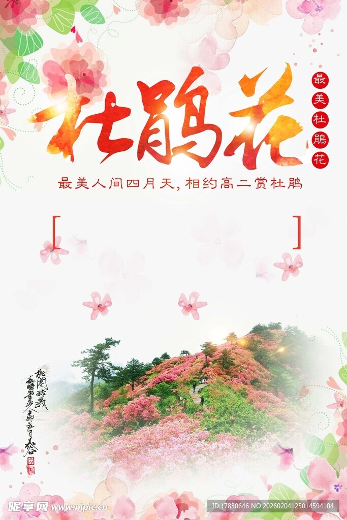 杜鹃花海报