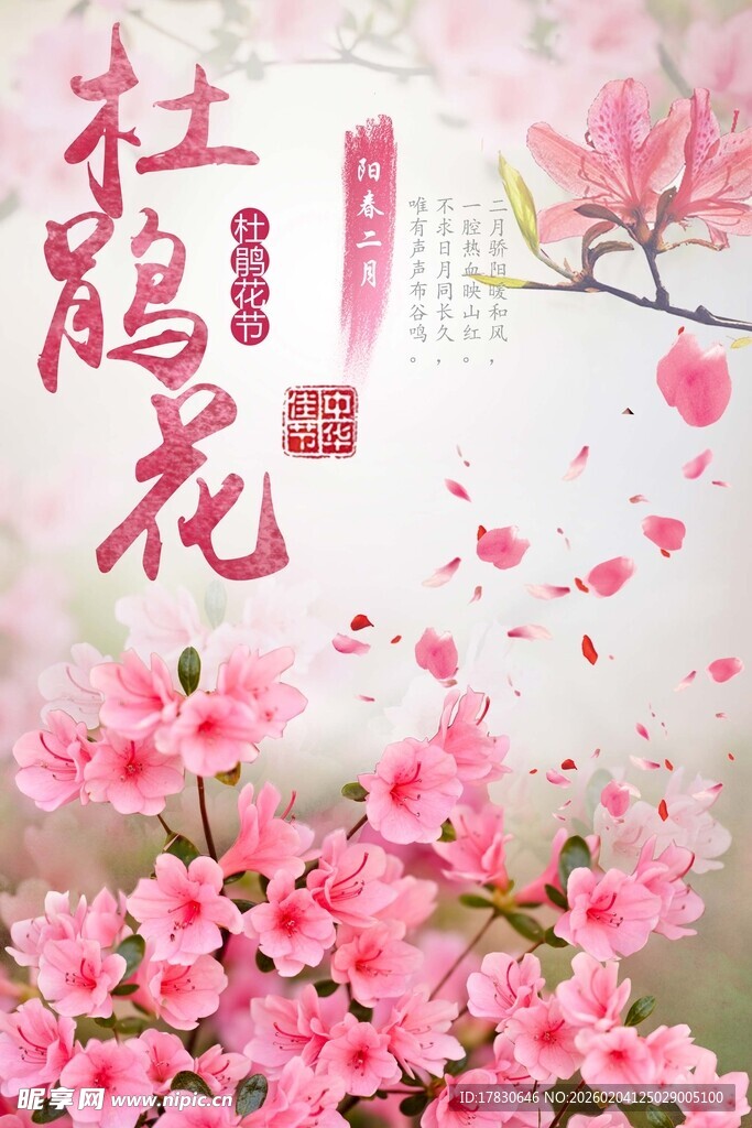 杜鹃花海报
