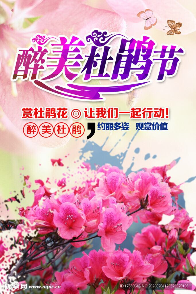 杜鹃花海报