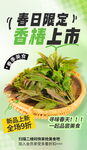 春日限定香椿上市特惠