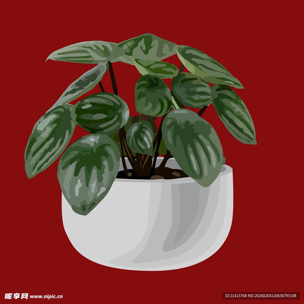 白色花盆中的翠绿盆栽