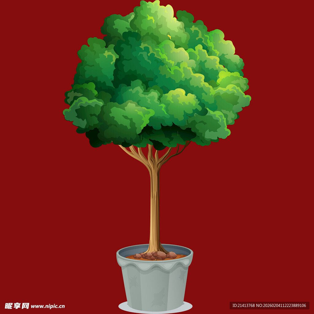 盆栽绿树生机盎然