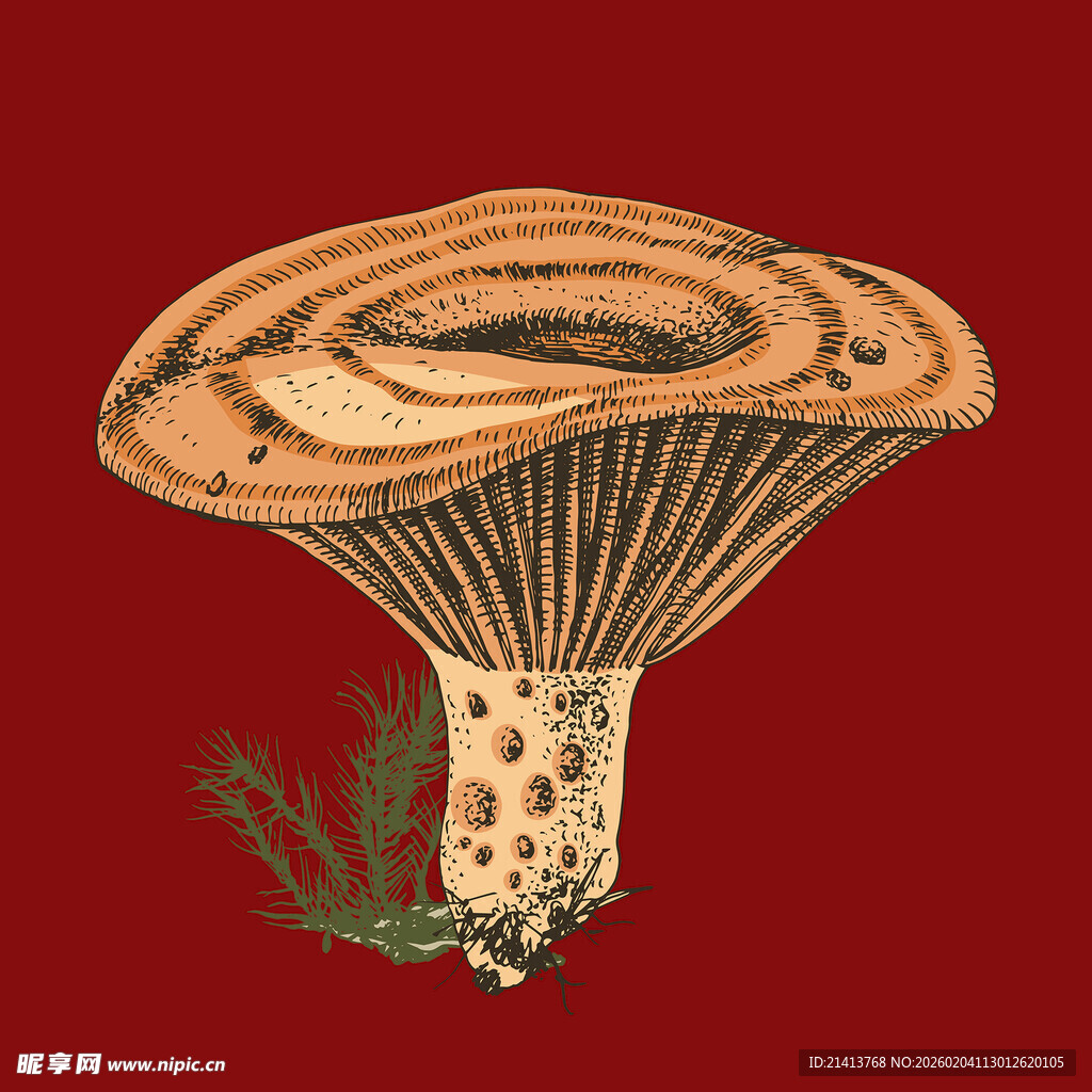 手绘红色背景蘑菇图案