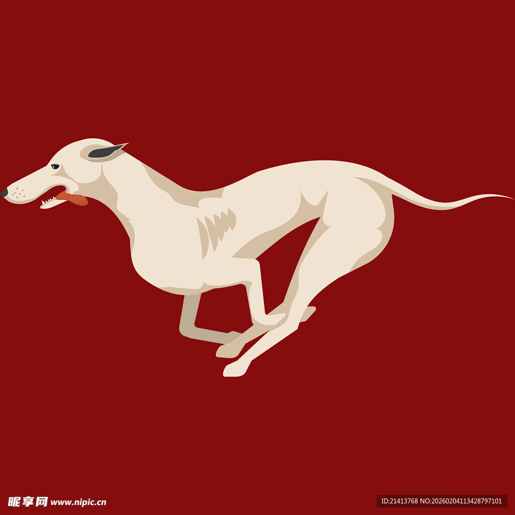 奔跑的白色灵缇犬