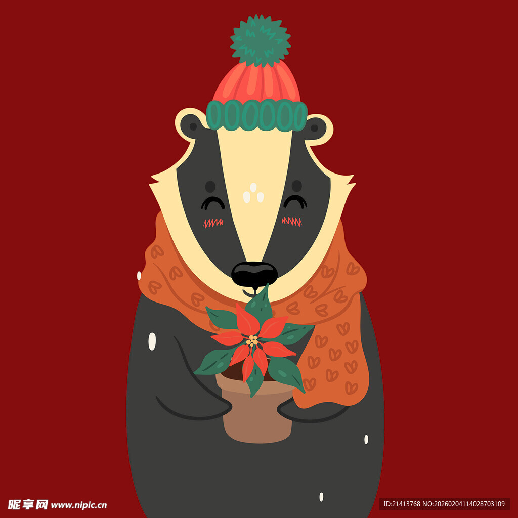 戴帽獾手持槲寄生