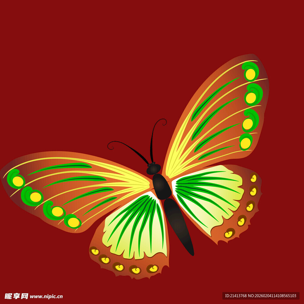 绚丽多彩蝴蝶插画