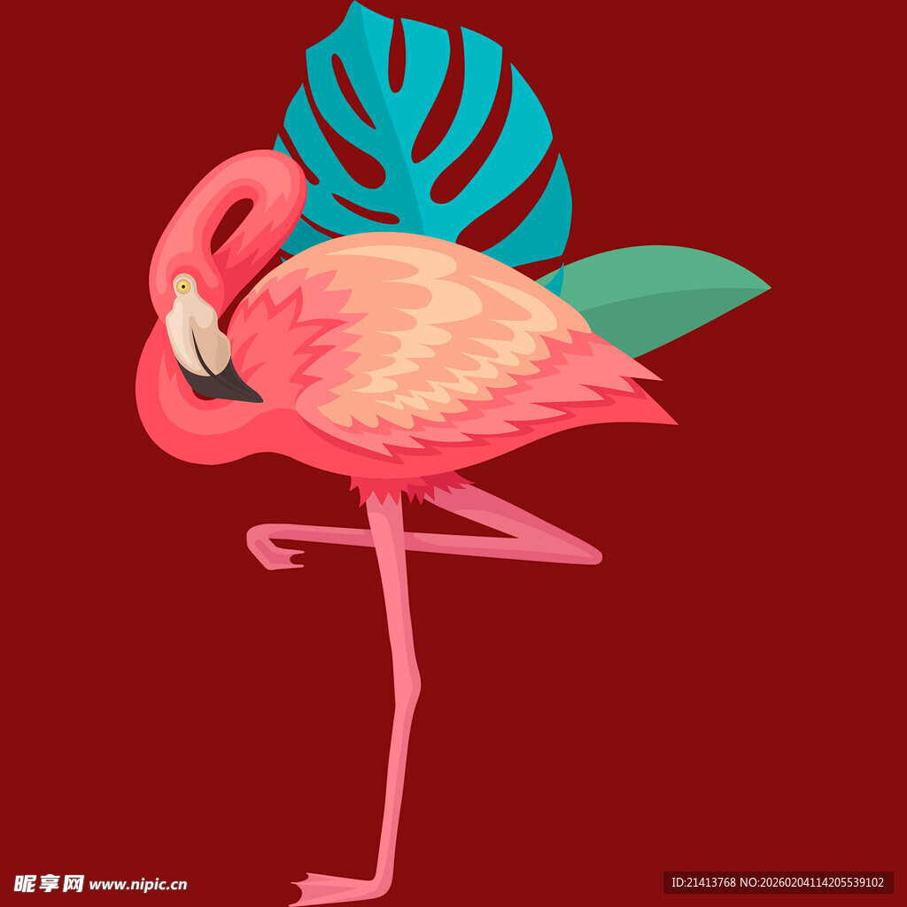 粉色火烈鸟的优雅姿态