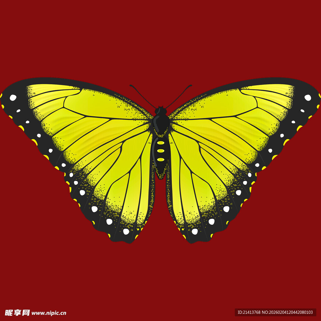 黄色蝴蝶展翅于红色背景