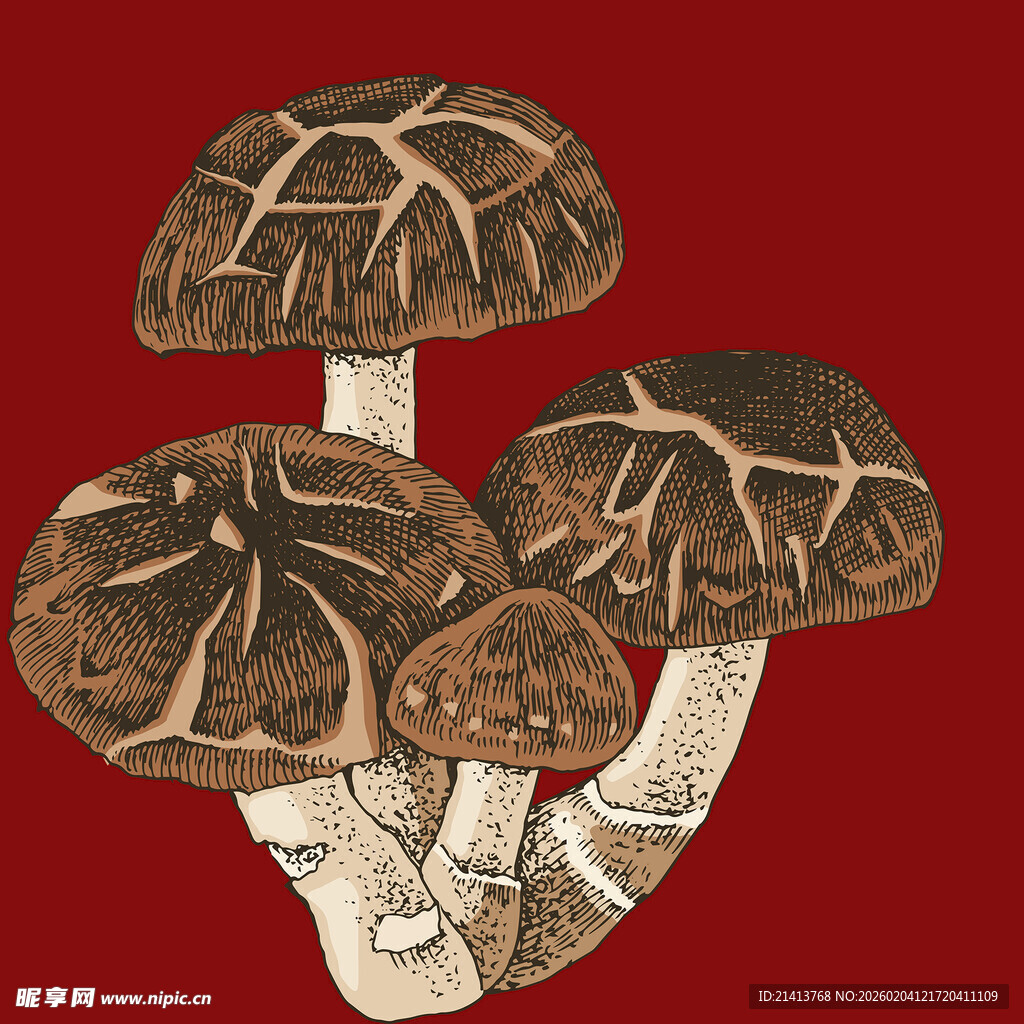 复古风格蘑菇插画