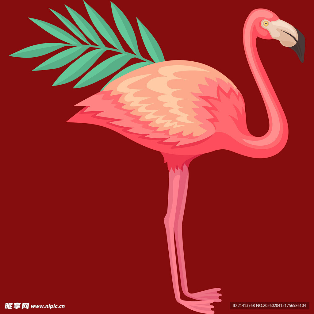 粉色火烈鸟插画