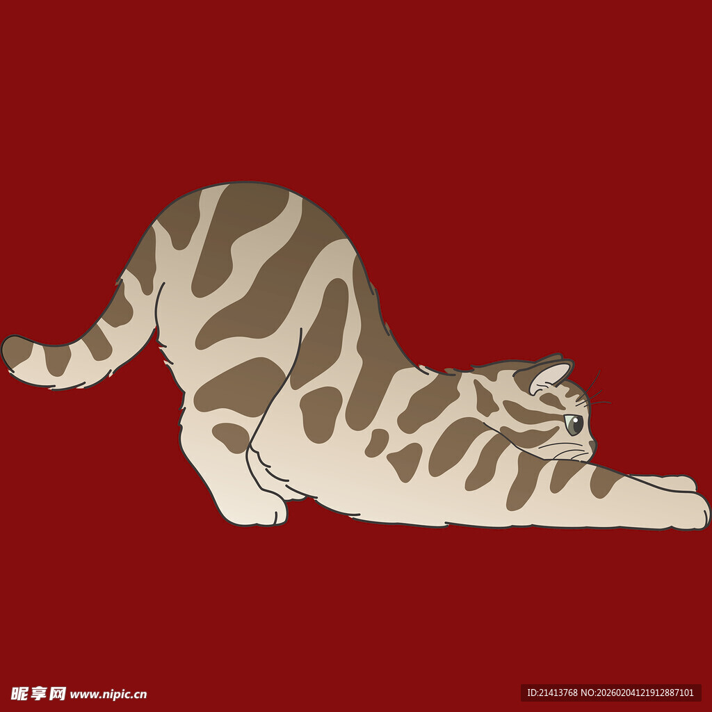 伸懒腰的斑纹猫咪