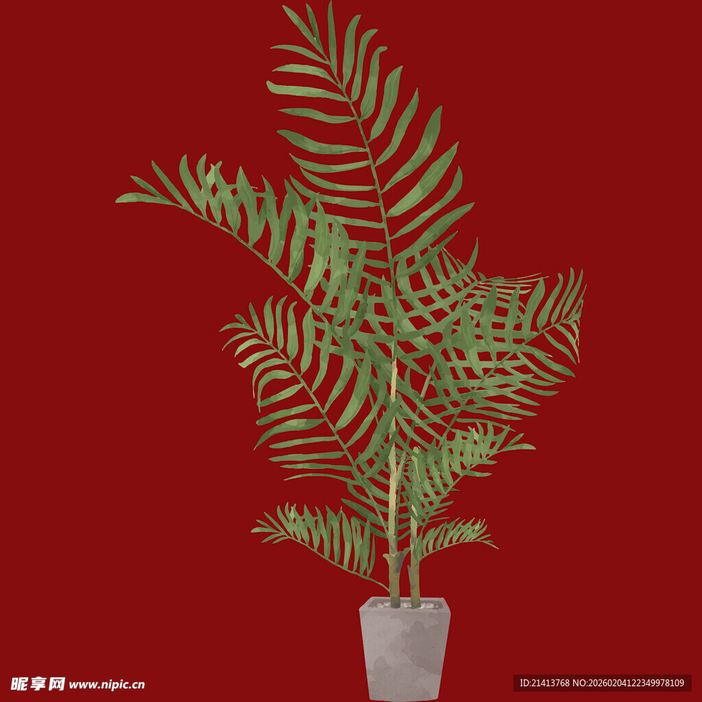 红色背景下的盆栽蕨类植物