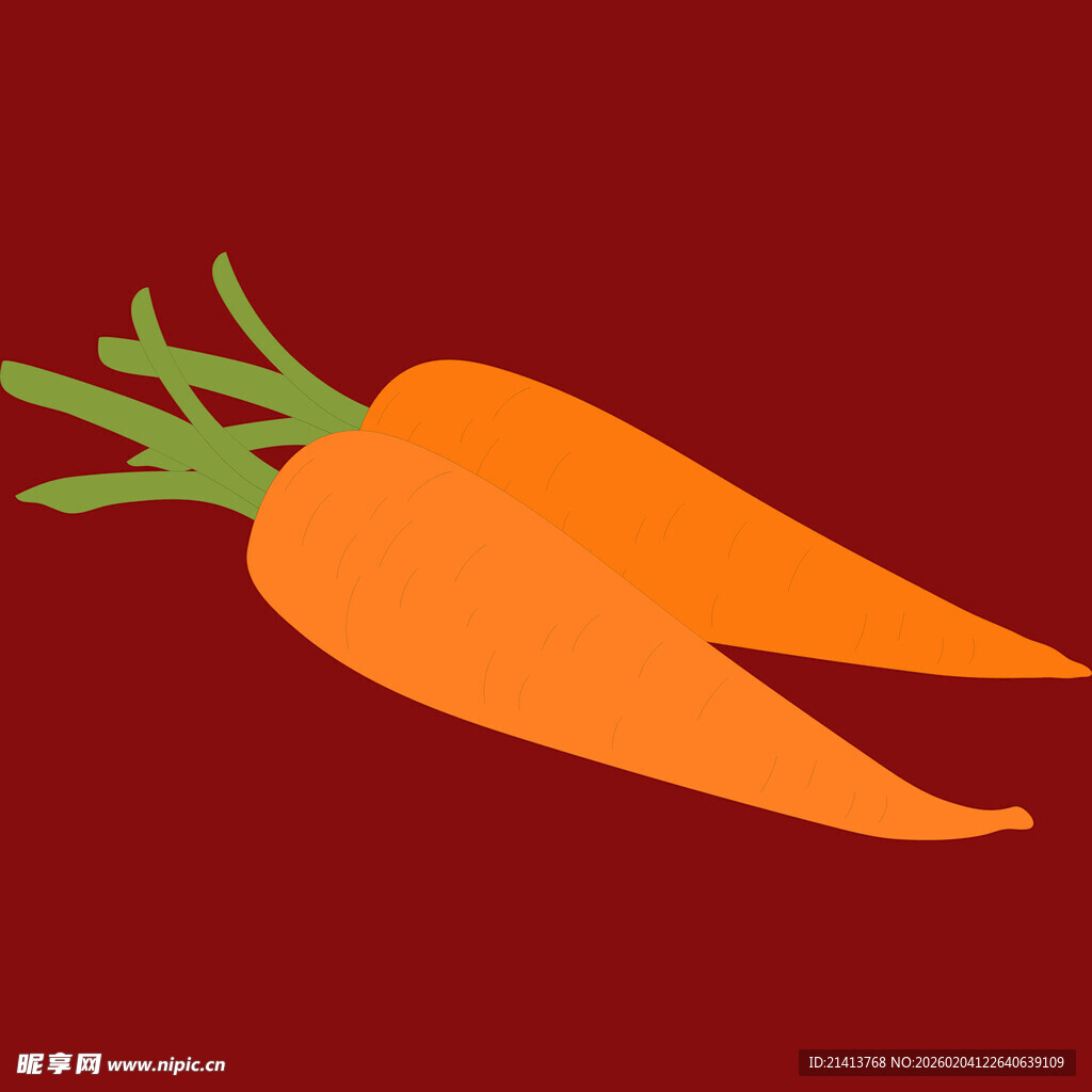 两根胡萝卜插画