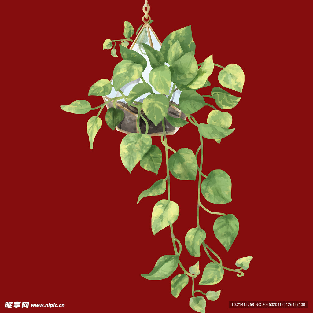红色背景下的垂吊绿植