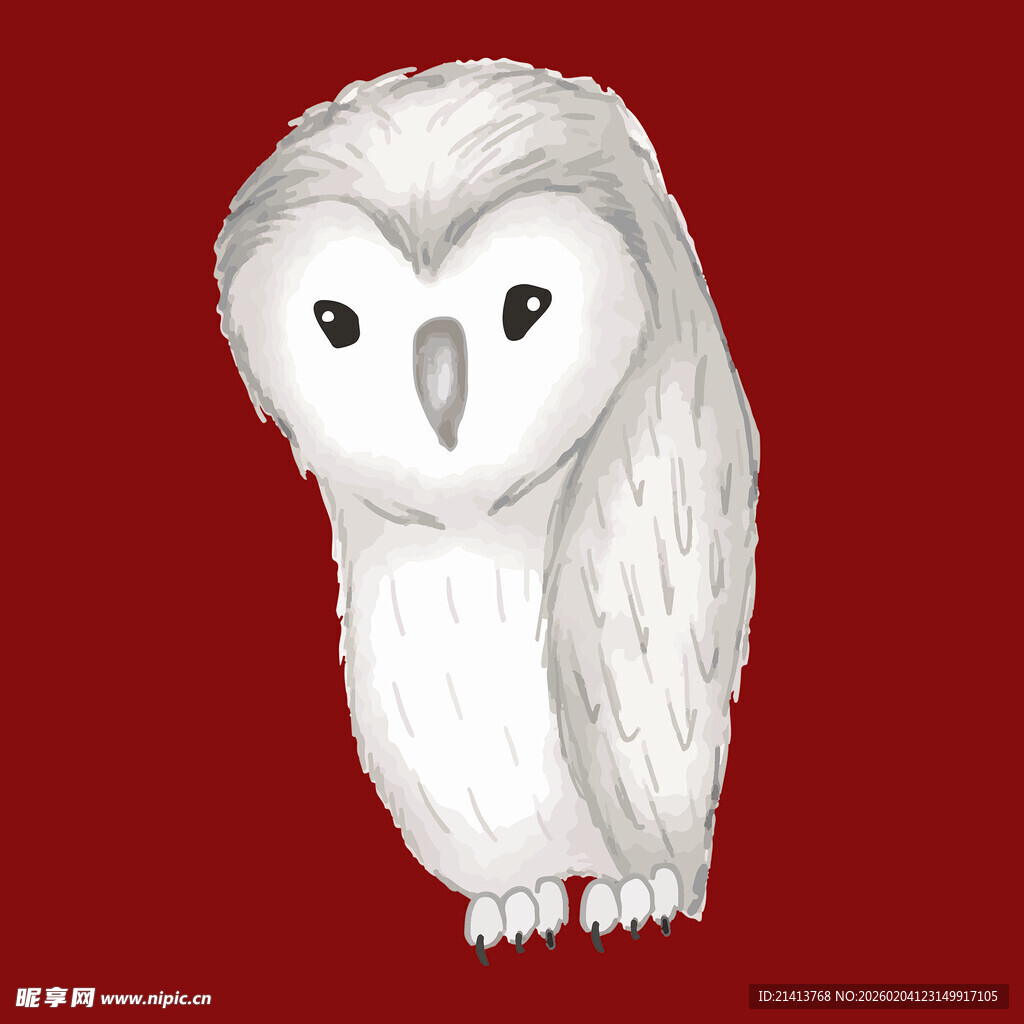 可爱白色猫头鹰插画