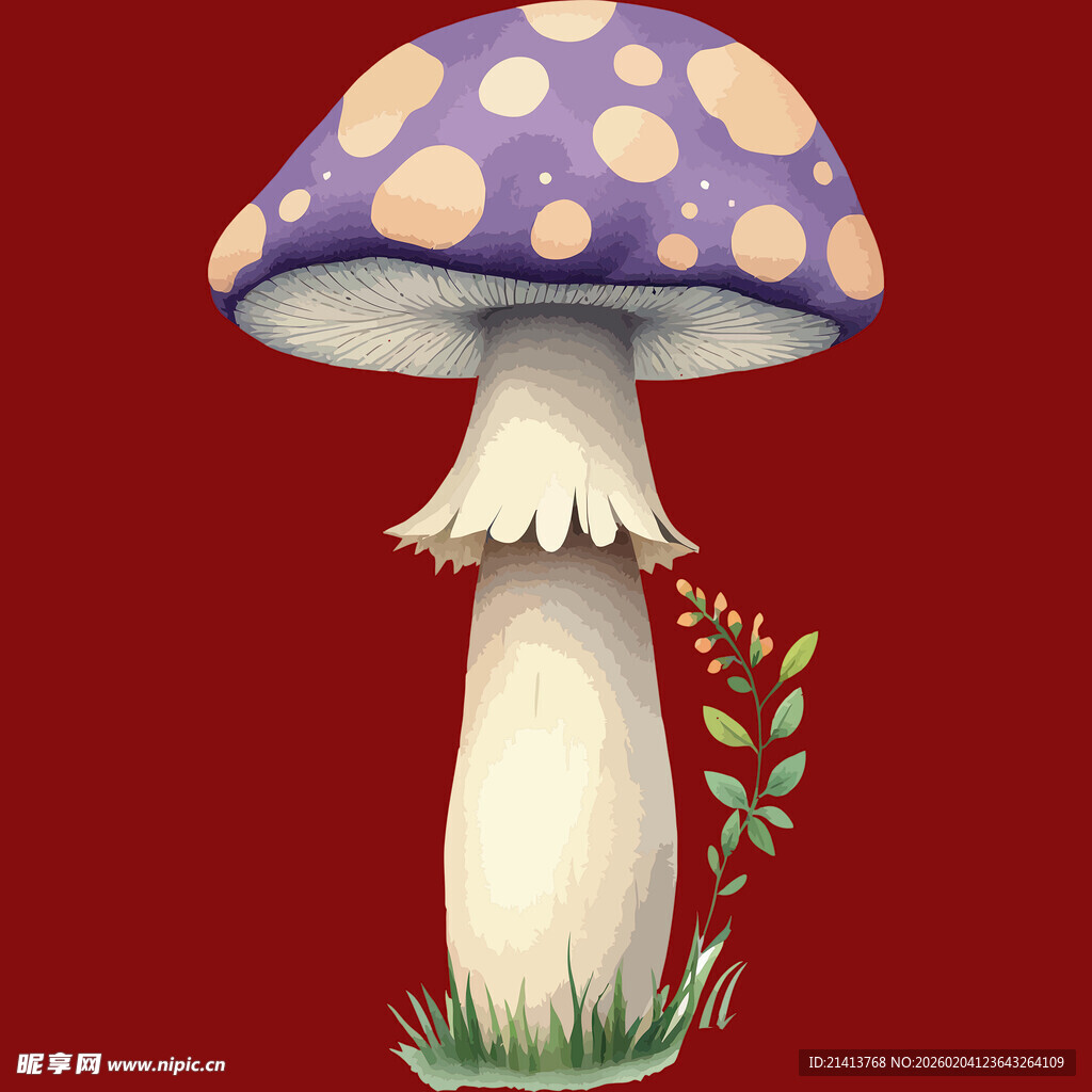 紫色斑点蘑菇插画