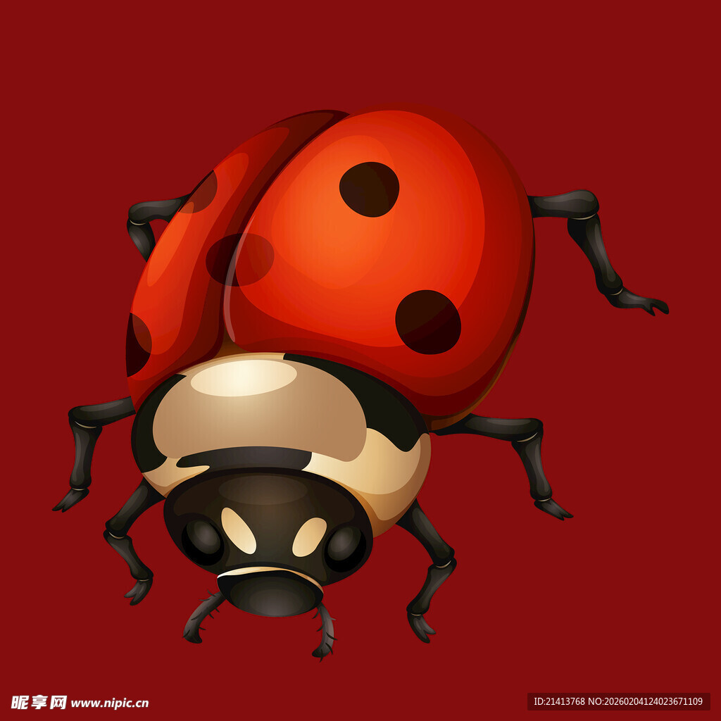 卡通瓢虫形象