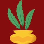 黄色花盆中的绿色植物