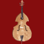 古典低音提琴展示