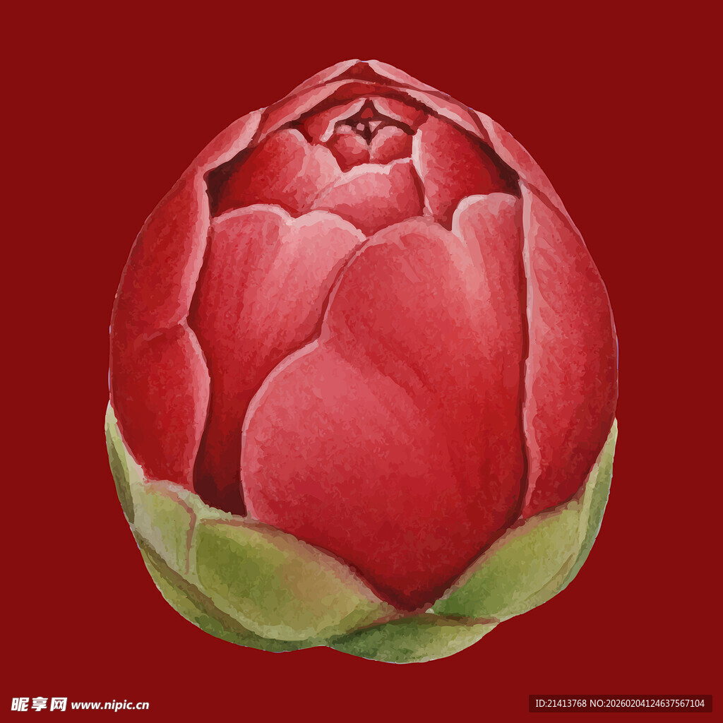 红色绽放莲花插画