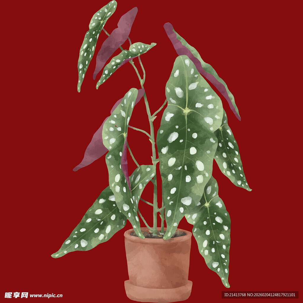 斑点绿植盆栽插画