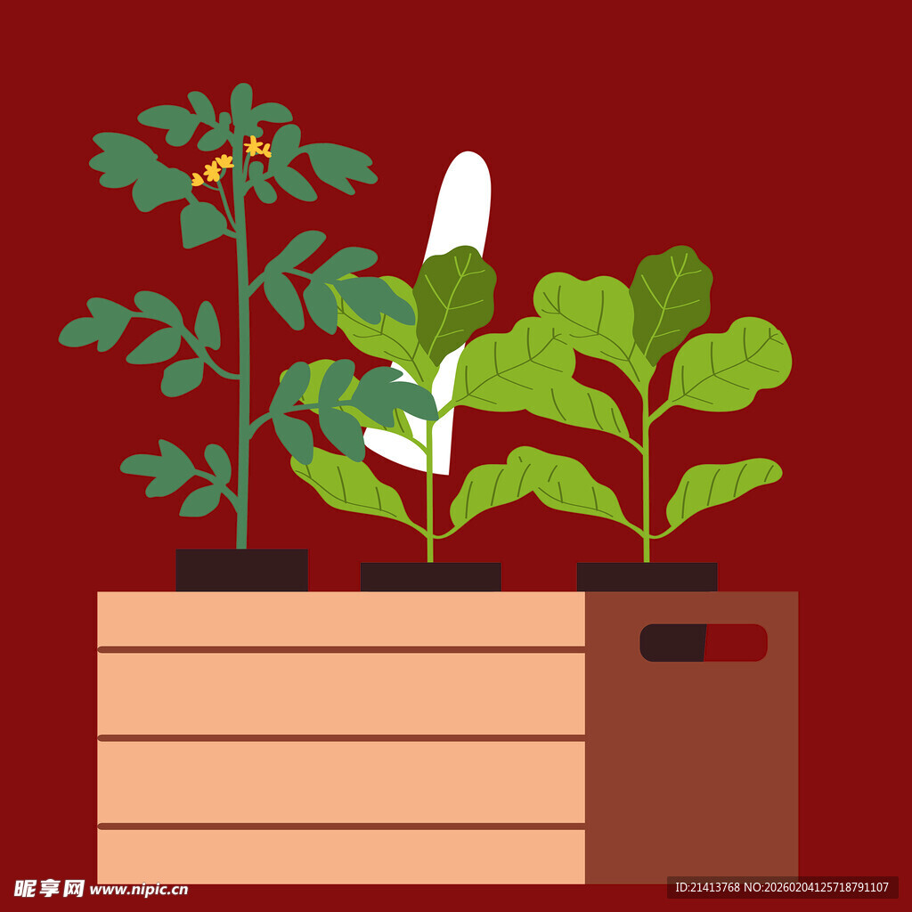 木制花盆中的多样绿植