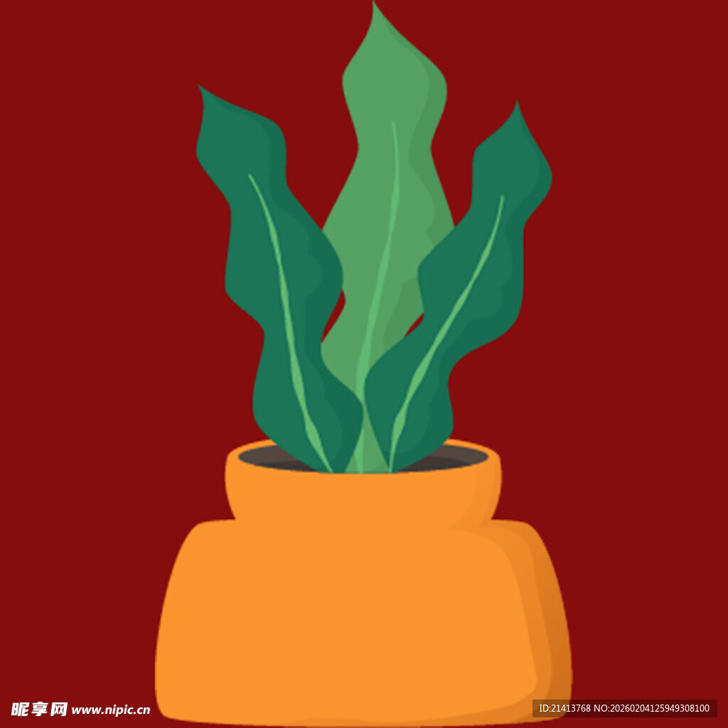 橙色花盆中的绿植