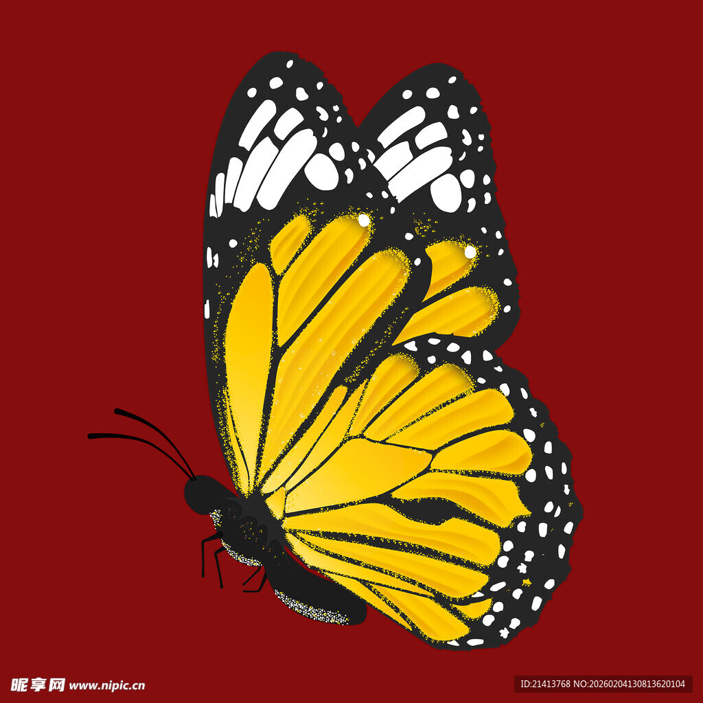 红色背景上的黄黑花纹蝴蝶
