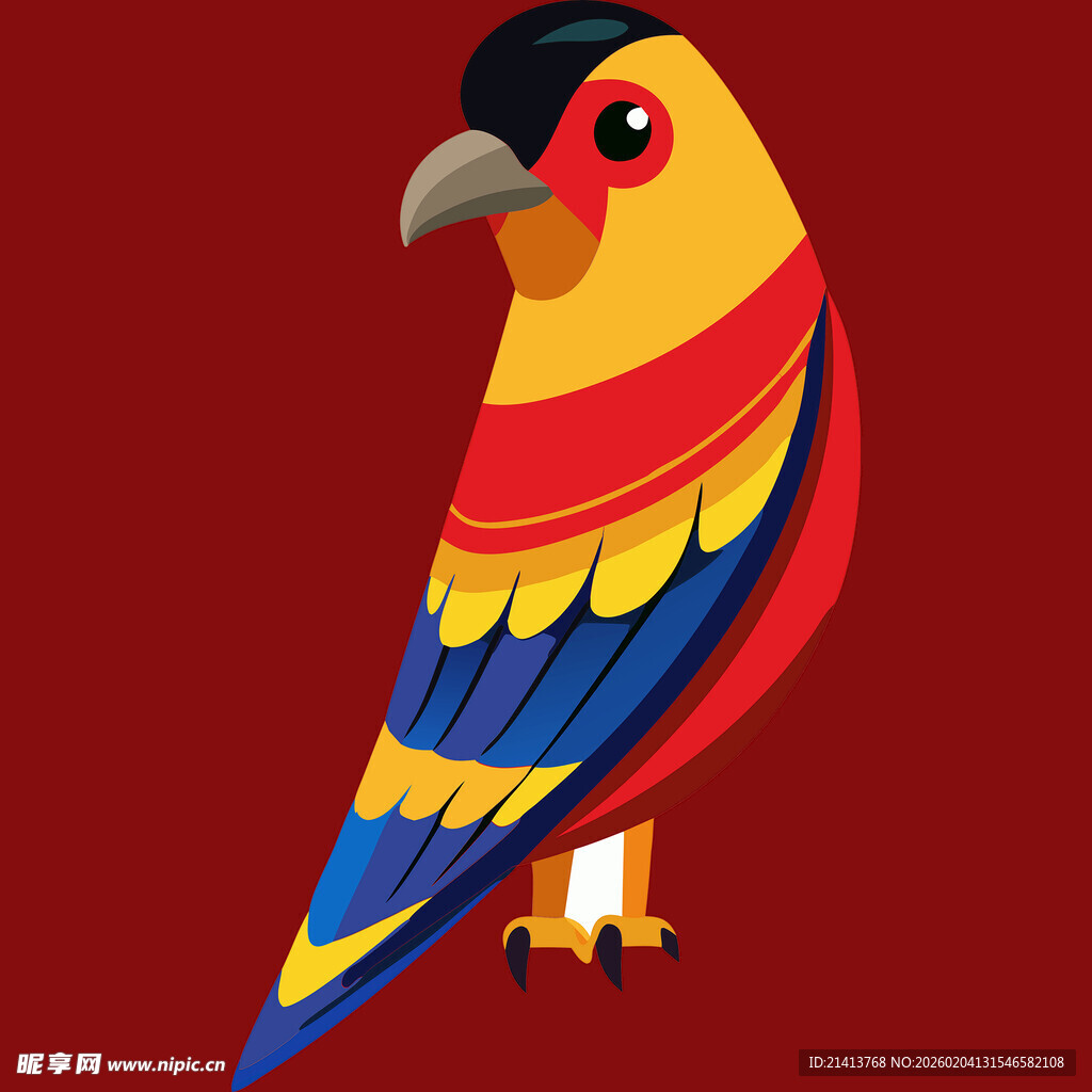 多彩鹦鹉插画