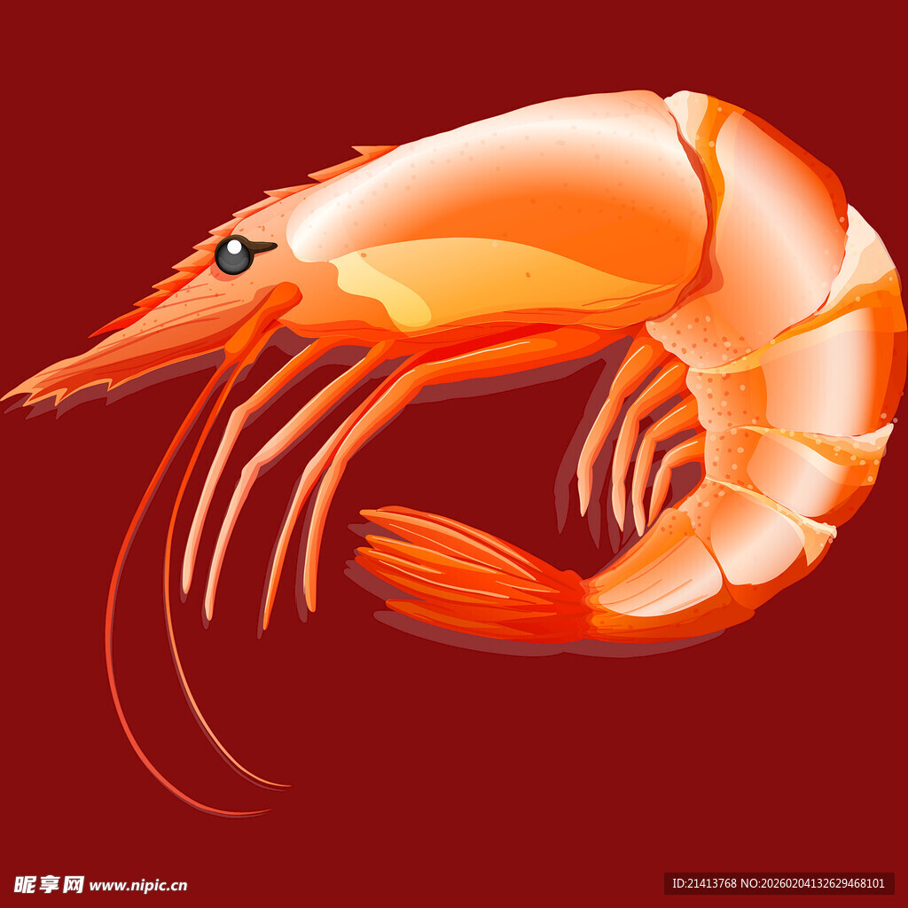 橙红色大虾插画