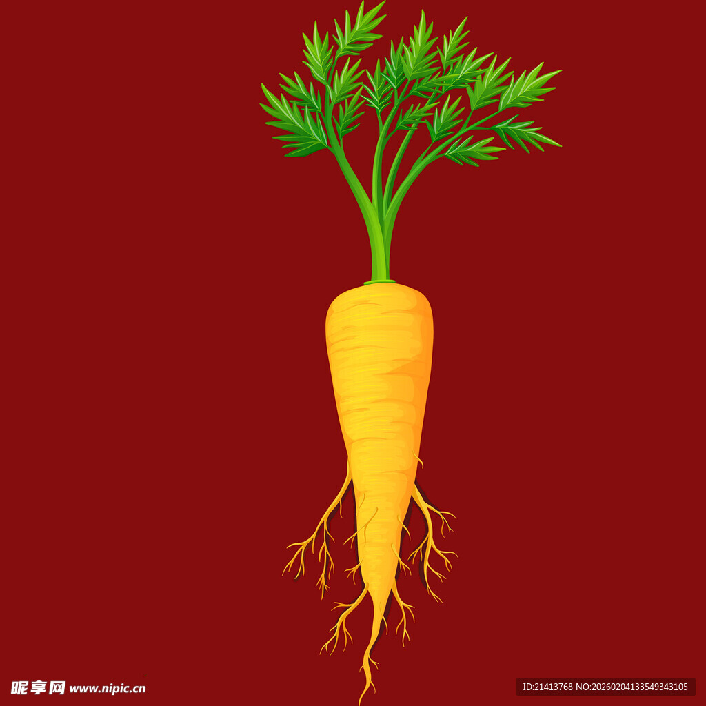 红色背景上的胡萝卜插画