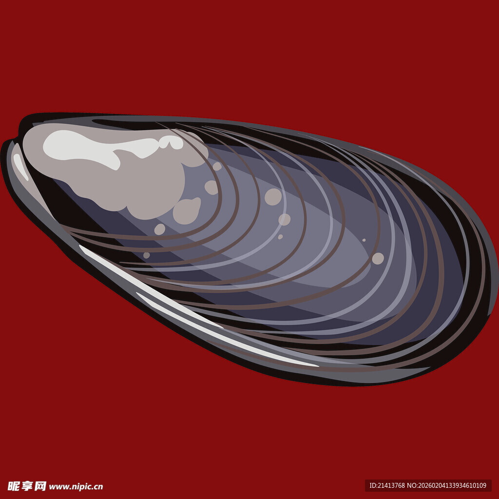 红色背景下的贻贝壳