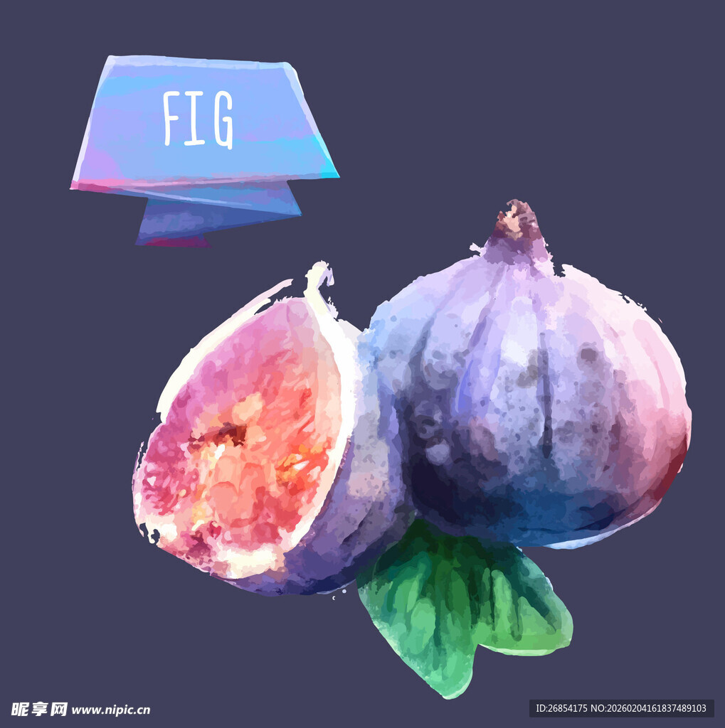 水彩画中的新鲜无花果