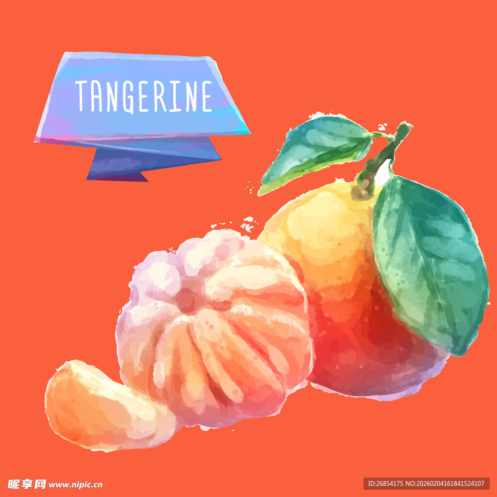 水彩画中的剥开橘子与绿叶