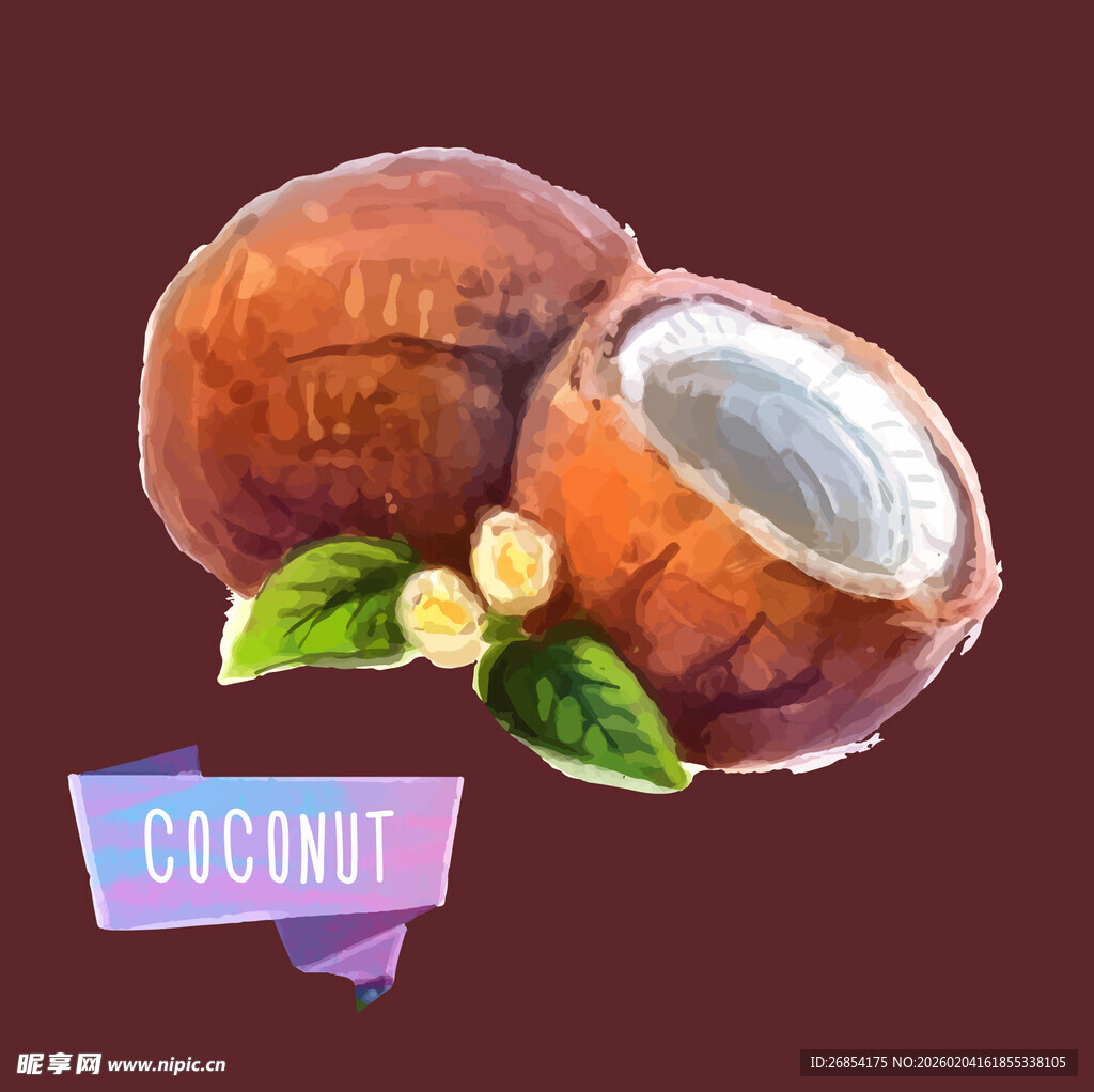 手绘椰子图