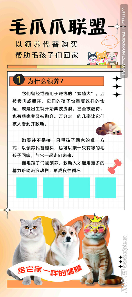 爪爪联盟宠物用品展示