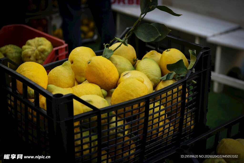 筐中鲜柠檬待售