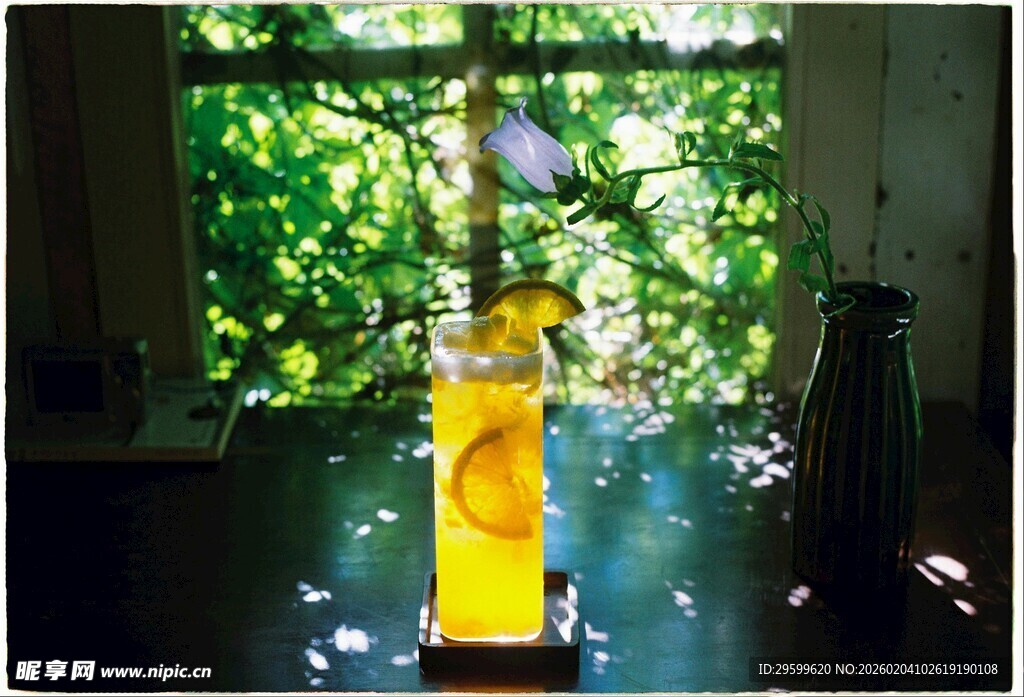 室内绿植旁的黄色饮料瓶