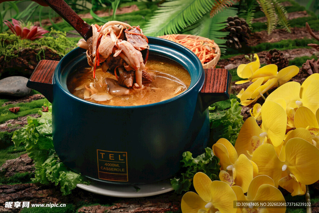 鸡肉  虫草鸡汤