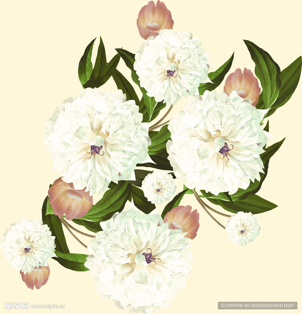 白色花卉插画清新雅致