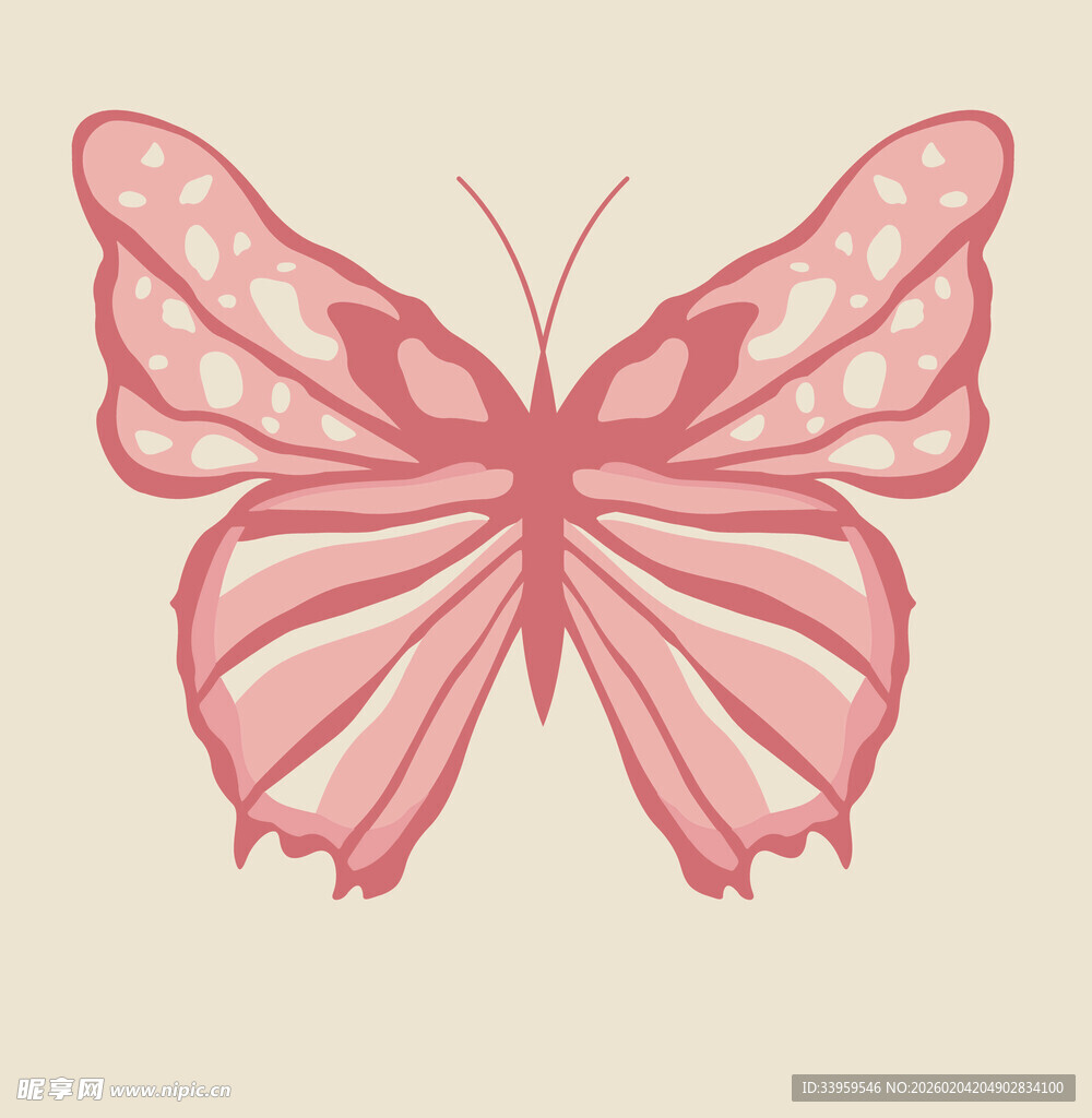 粉色蝴蝶插画