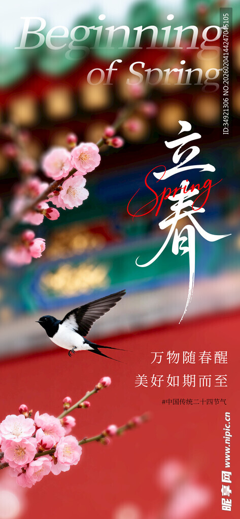 立春时节的花鸟春景图