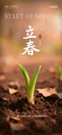 立春时节破土而出的幼苗